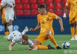 亚历克斯霍诺德百科