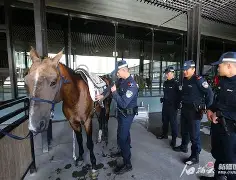 乐鱼体育app-皇家社会训练开放日，今晚战术微调引欢呼，NBA季后赛在即，球探报告显示潜力